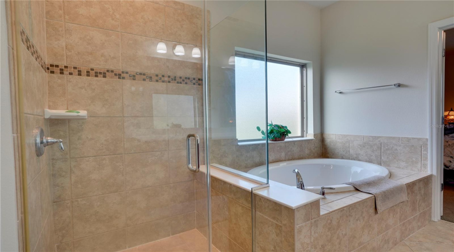 Shower Stall And Soaking Tub