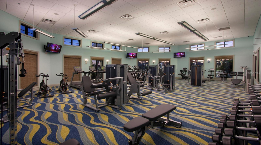 Clubhouse Gym