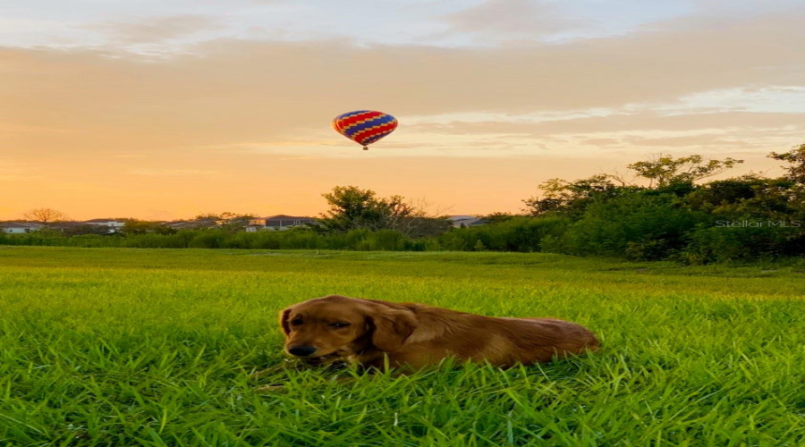 Enjoy Beautiful Sunsets From Your Porch.