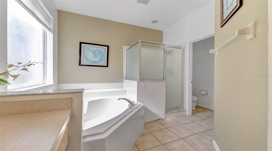 Master Bathroom With Soaking Tub And Separate Stand Up Shower.