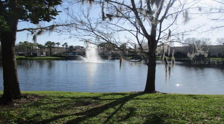 Rear View Of Pond