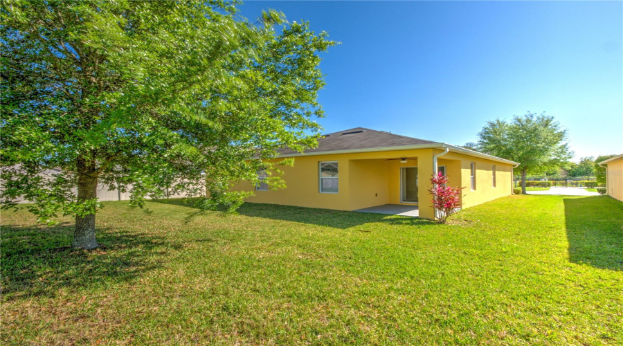 Rear Of The Home/Rear Porch