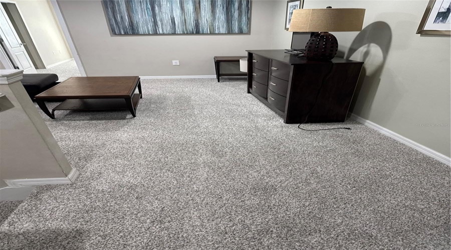 New Carpet