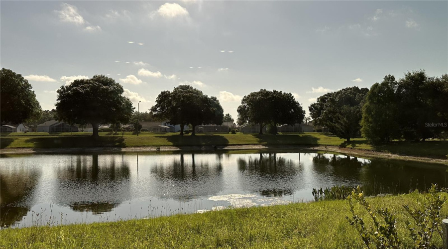 Pond View