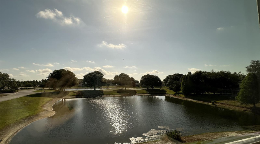 Pond Frontage