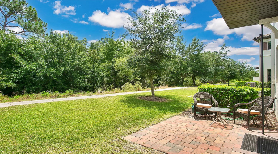 Back Patio