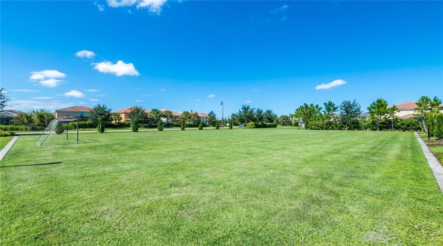 Soccer Court