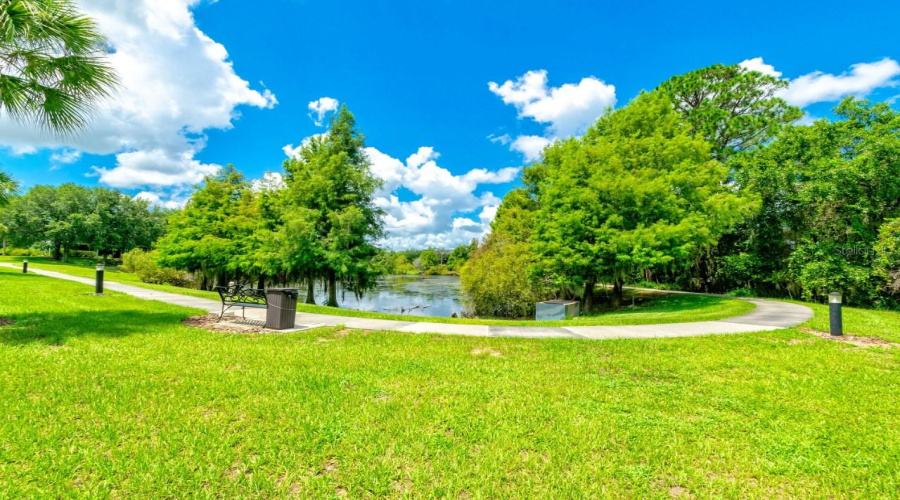 Common Area Walking Path And Pond