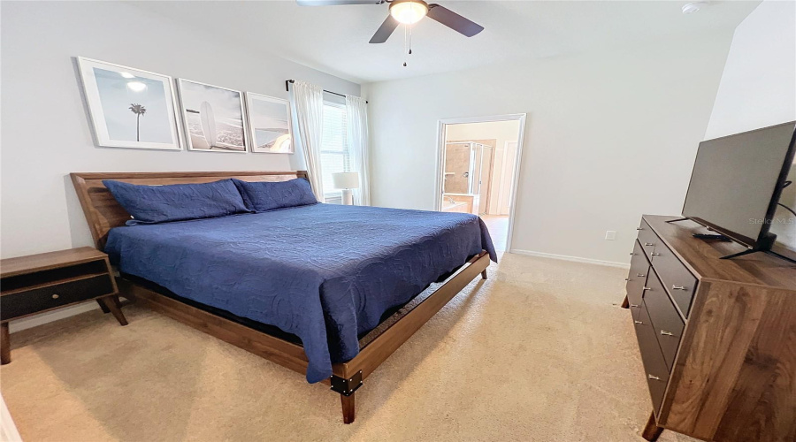 Downstairs Master Bedroom