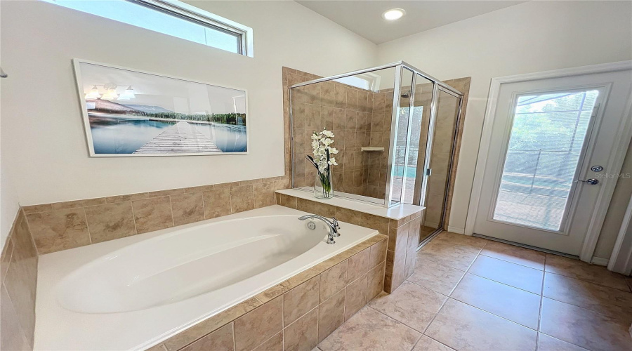 Downstairs Master Bathroom