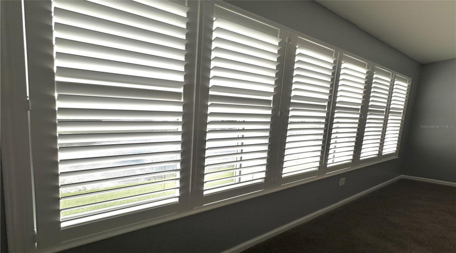 Shutters To Internal Windows