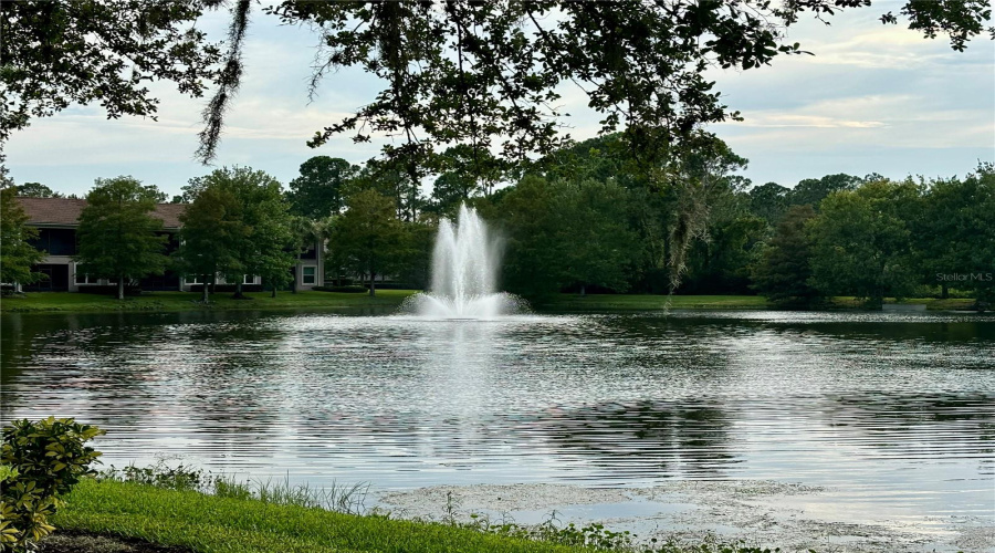 One Of Many Ponds With Water Features