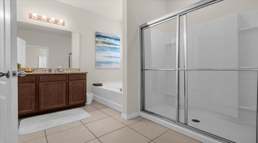 Primary Bathroom (Downstairs)