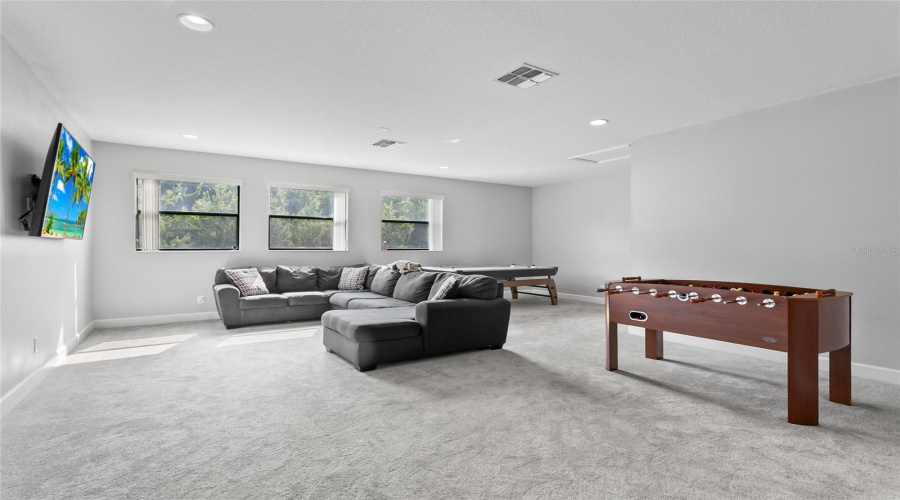 Loft/Bonus Room