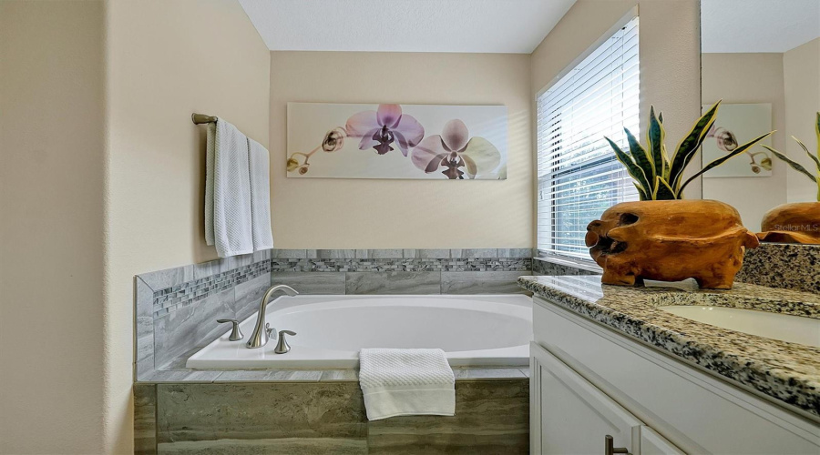 Davenport, Florida 33837, 5 Bedrooms Bedrooms, ,5 Bathroomsbathrooms,Residential,For Sale,Solterra,Mfro6233714