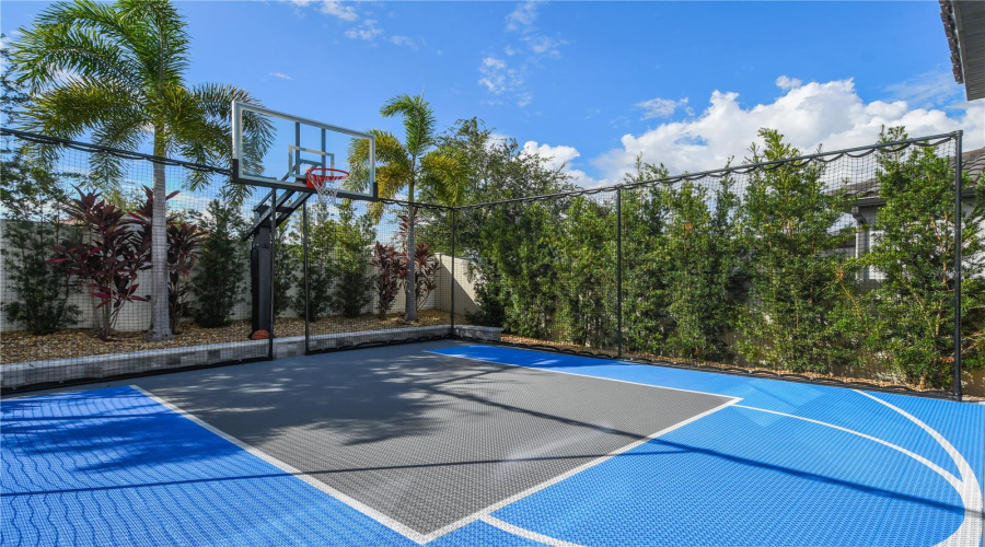 Basketball Court