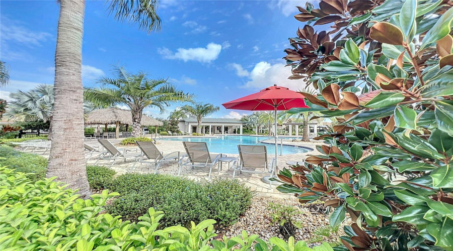 DAVENPORT, Florida 33896, 4 Bedrooms Bedrooms, ,2 BathroomsBathrooms,Residential,For Sale,BLACKWOLF RUN RD,0,MFRO6237730