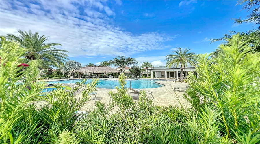 DAVENPORT, Florida 33896, 4 Bedrooms Bedrooms, ,2 BathroomsBathrooms,Residential,For Sale,BLACKWOLF RUN RD,0,MFRO6237730