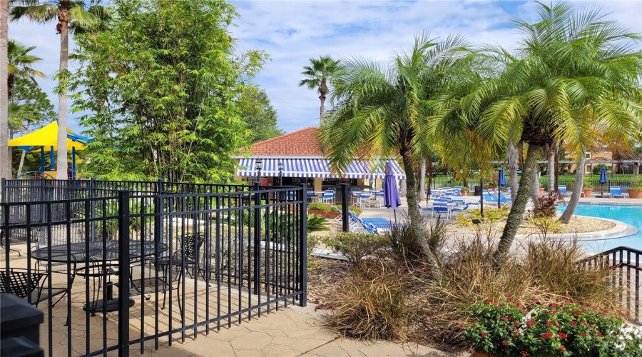 Community Pool
