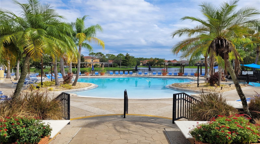 Community Pool