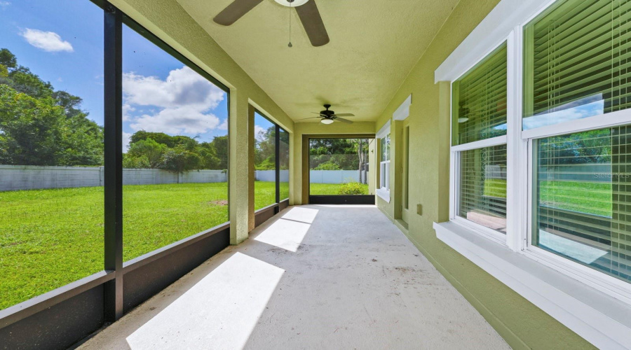 Back Patio