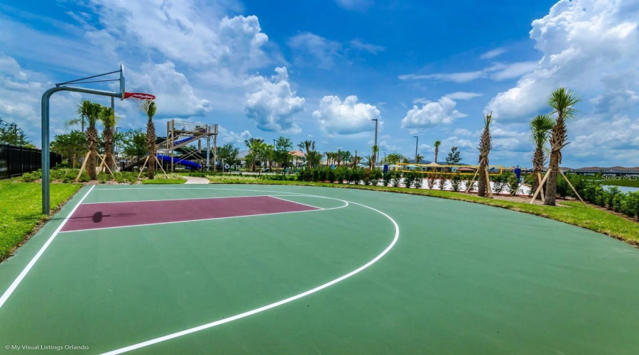 Basket Court