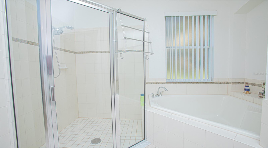 Primary Bath Shower And Tub