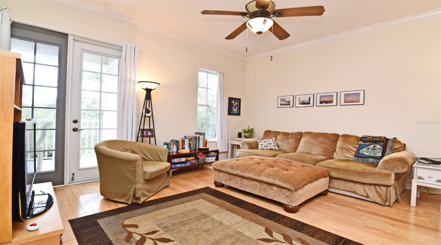 Living Room/ Balcony Doors