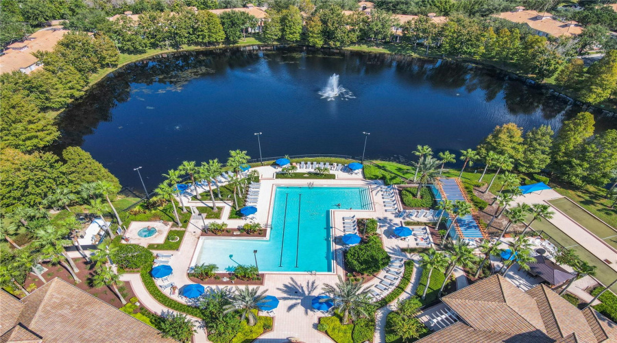 A Beautiful Lap Pool!