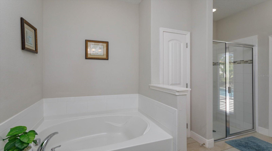 DAVENPORT, Florida 33837, 5 Bedrooms Bedrooms, ,4 BathroomsBathrooms,Residential,For Sale,WILDWOOD,0,MFRO6251831