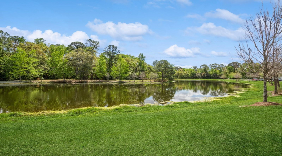 Water With Endless Wooded Preserve Views