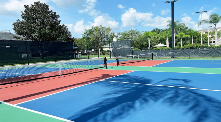 Pickleball Court