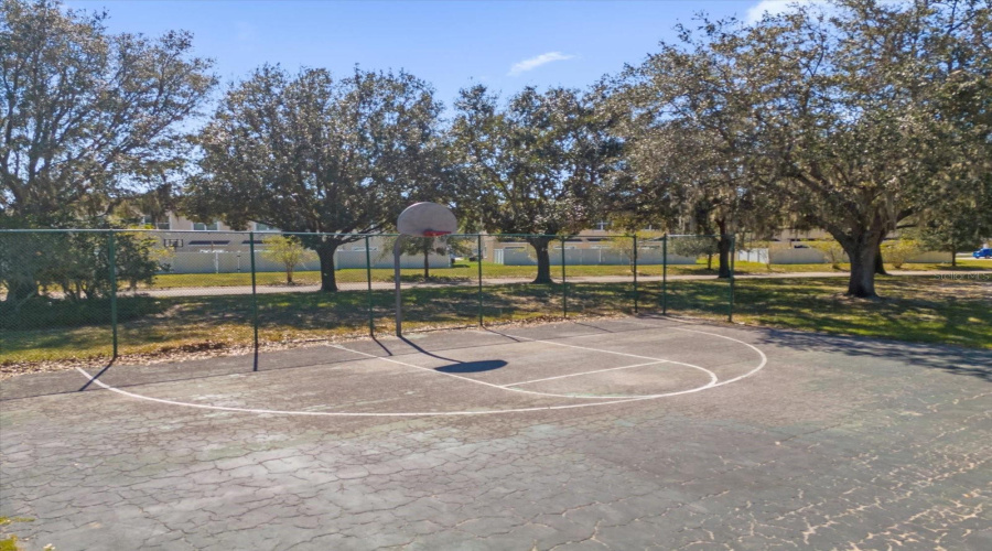 Basketball Courts