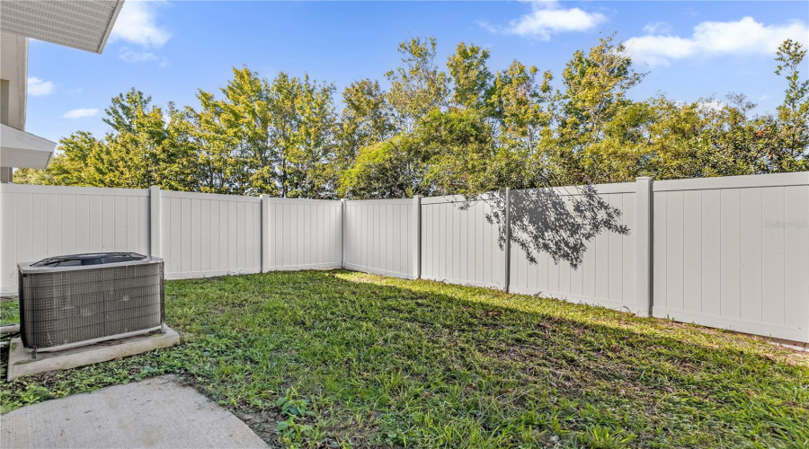 Fenced In Backyard