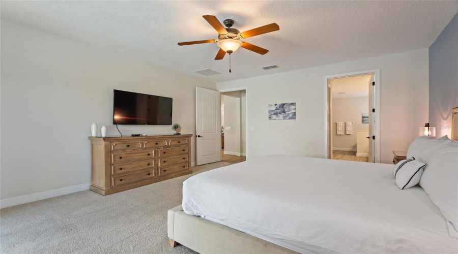 Another View Of The Spacious Downstairs Bedroom.