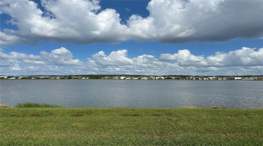 Backyard Lake View