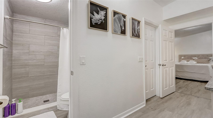 Master Bathroom Shower