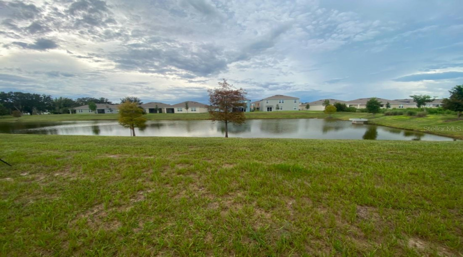 Rear View Of Pond From Back Yard.