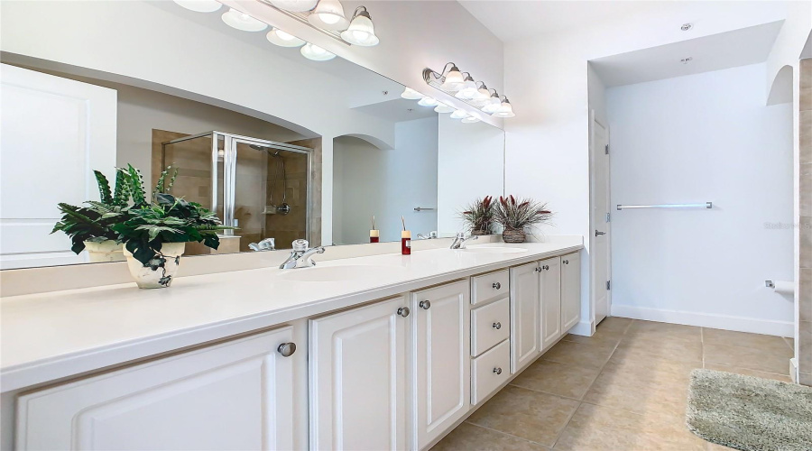 Large Vanity With Full Size Linen Closet