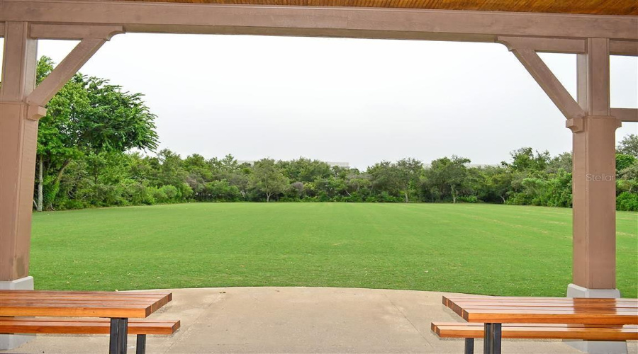 View Of Sports Field