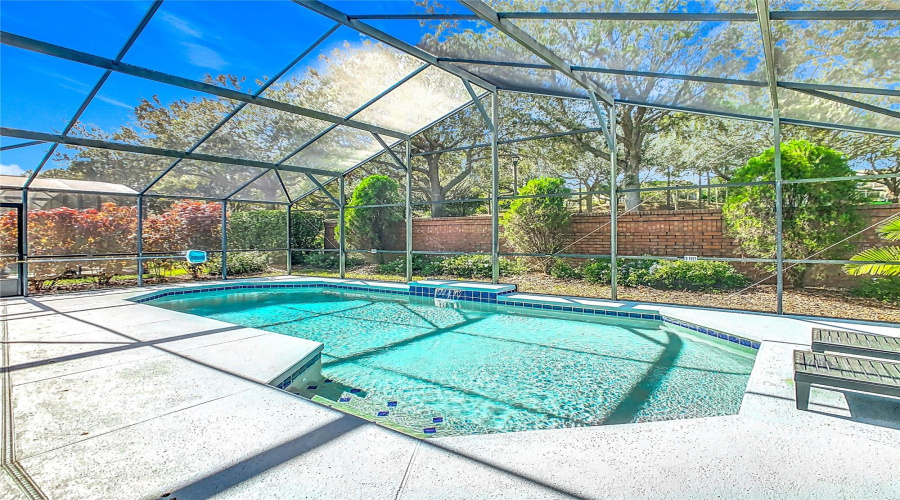 The Brick Wall Provides Privacy In The Back Yard.