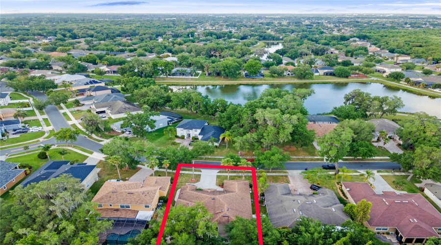 Pond View Across The Property