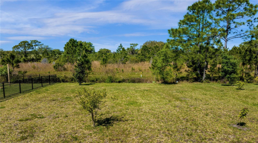 Extended Backyard