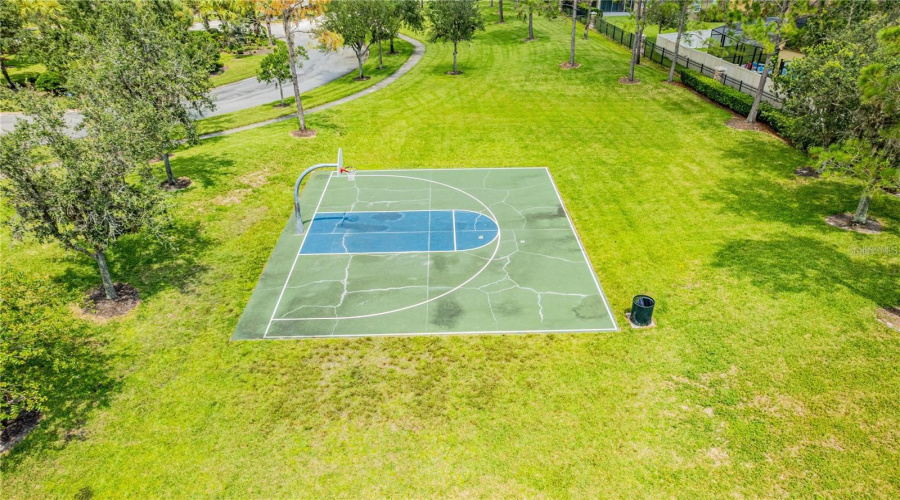 Basketball Court