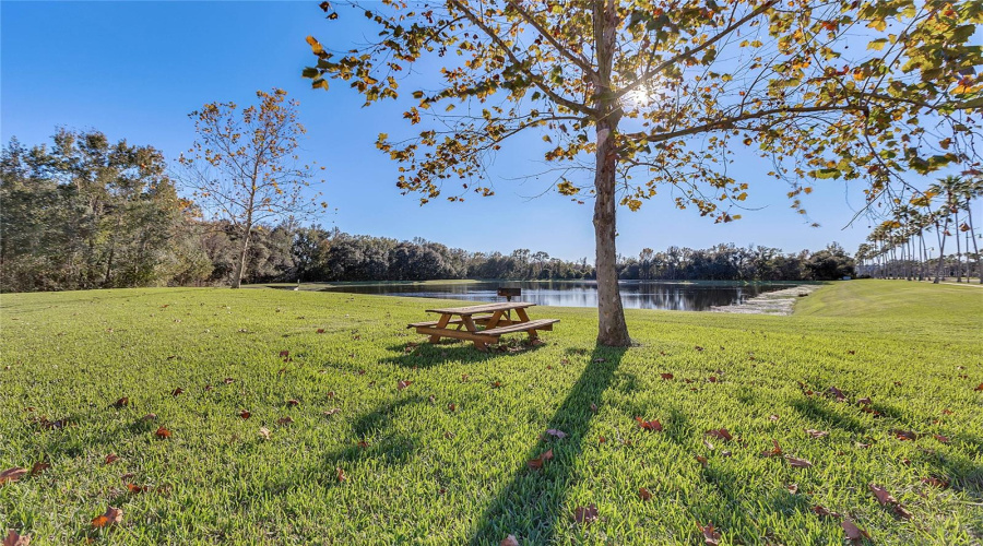 CELEBRATION, Florida 34747, 2 Bedrooms Bedrooms, ,3 BathroomsBathrooms,Residential,For Sale,WATERSIDE,0,MFRO6260697