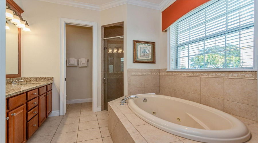 REUNION, Florida 34747, 4 Bedrooms Bedrooms, ,3 BathroomsBathrooms,Residential,For Sale,EXCITEMENT,0,MFRO6262883