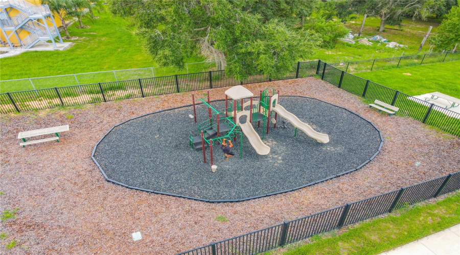 Play in Park!