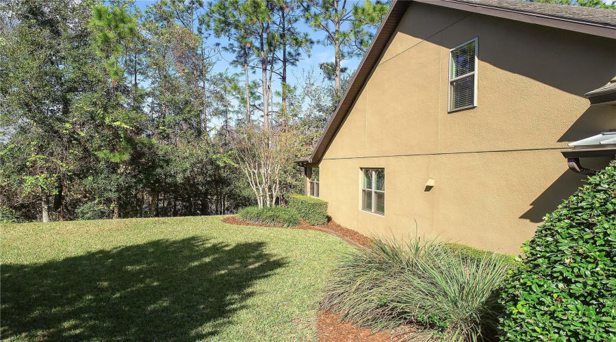 Spacious side yard on left
