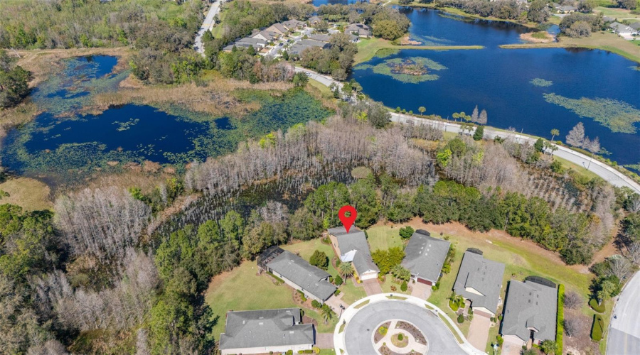 Conservation & Pond View