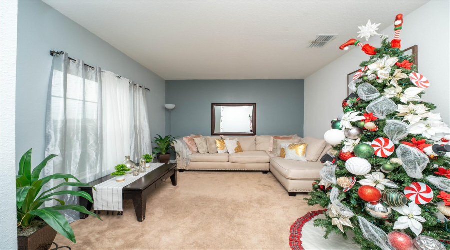 Flex Room / Bonus Room